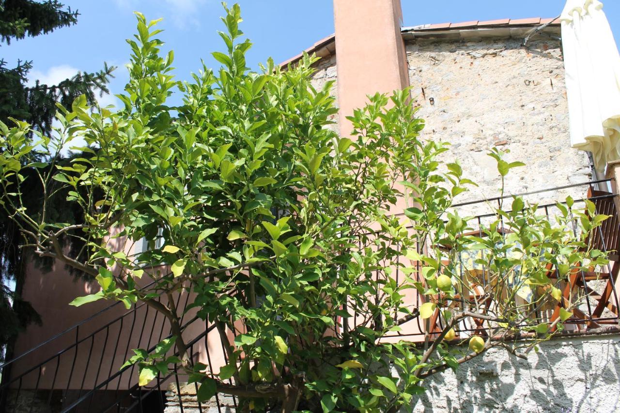 Terrazza Sul Golfo - Il Casale Vakantieboerderij La Spezia